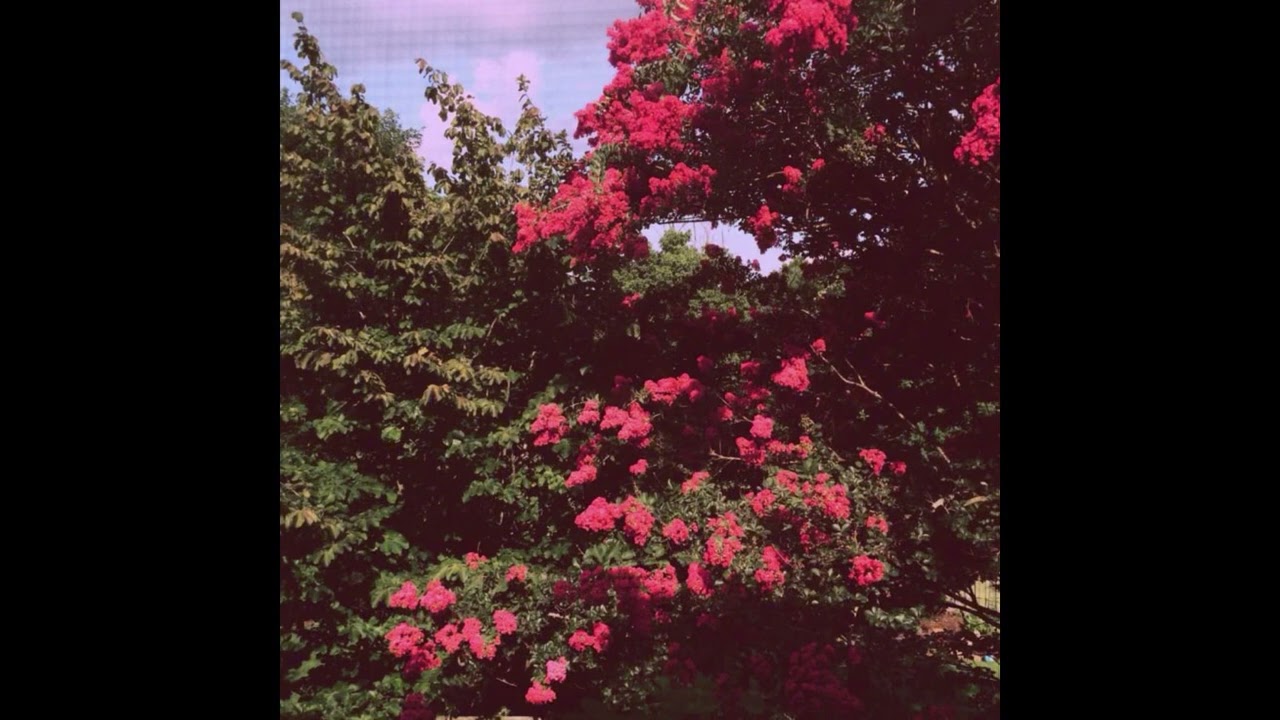 [FREE] Bushi & Mairo Type Beat - 