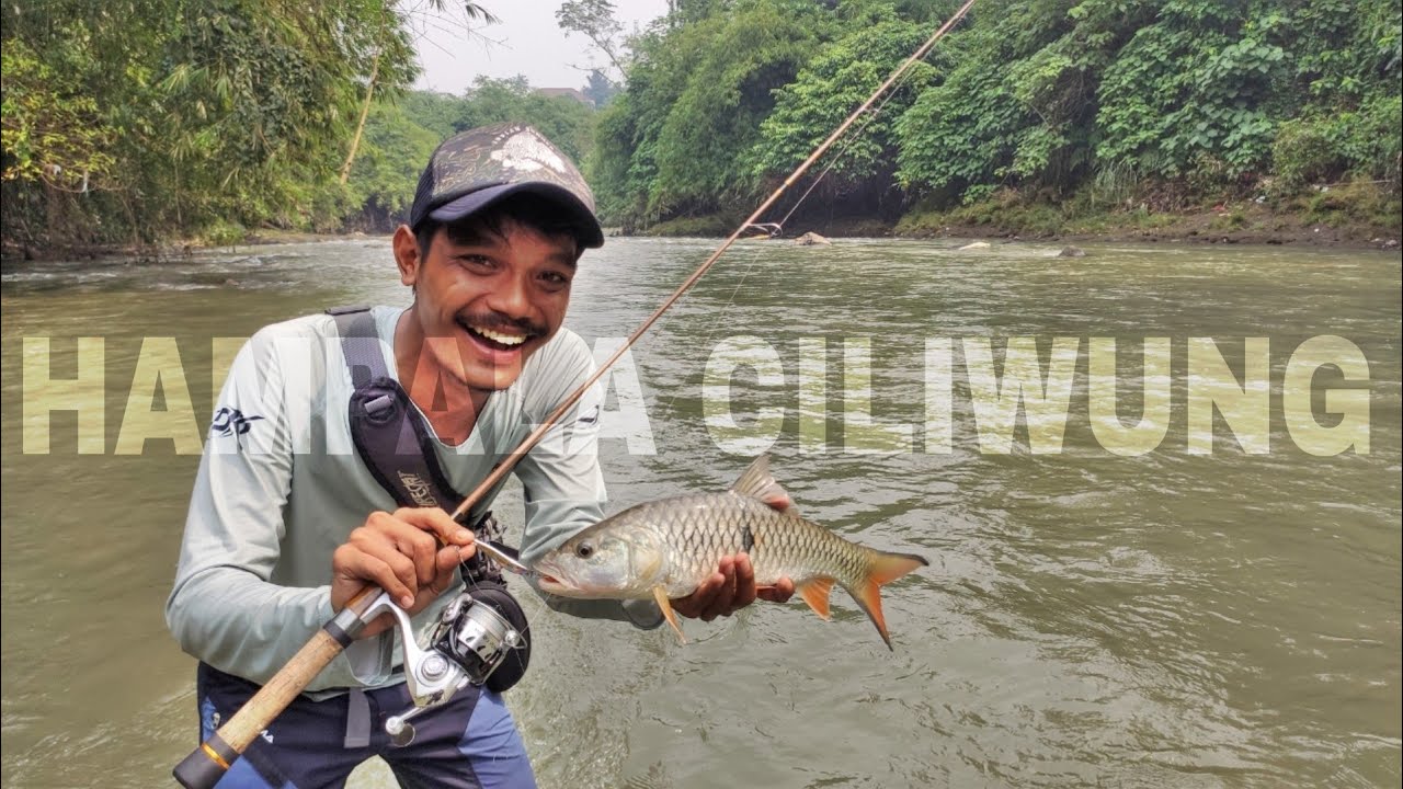 Tips Jitu Mancing Hampala - Sungai Ciliwung Depok Jawa Barat