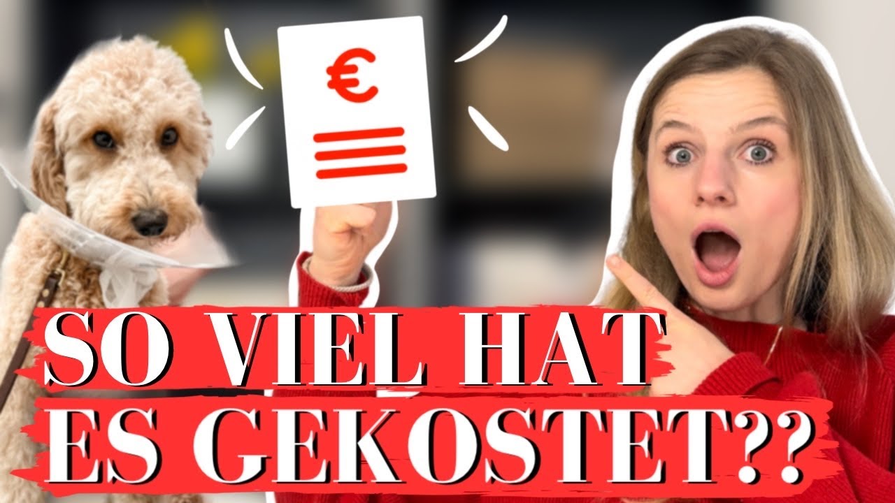DAS kostet eine PATELLALUXATIONS-OPERATION beim HUND 2024