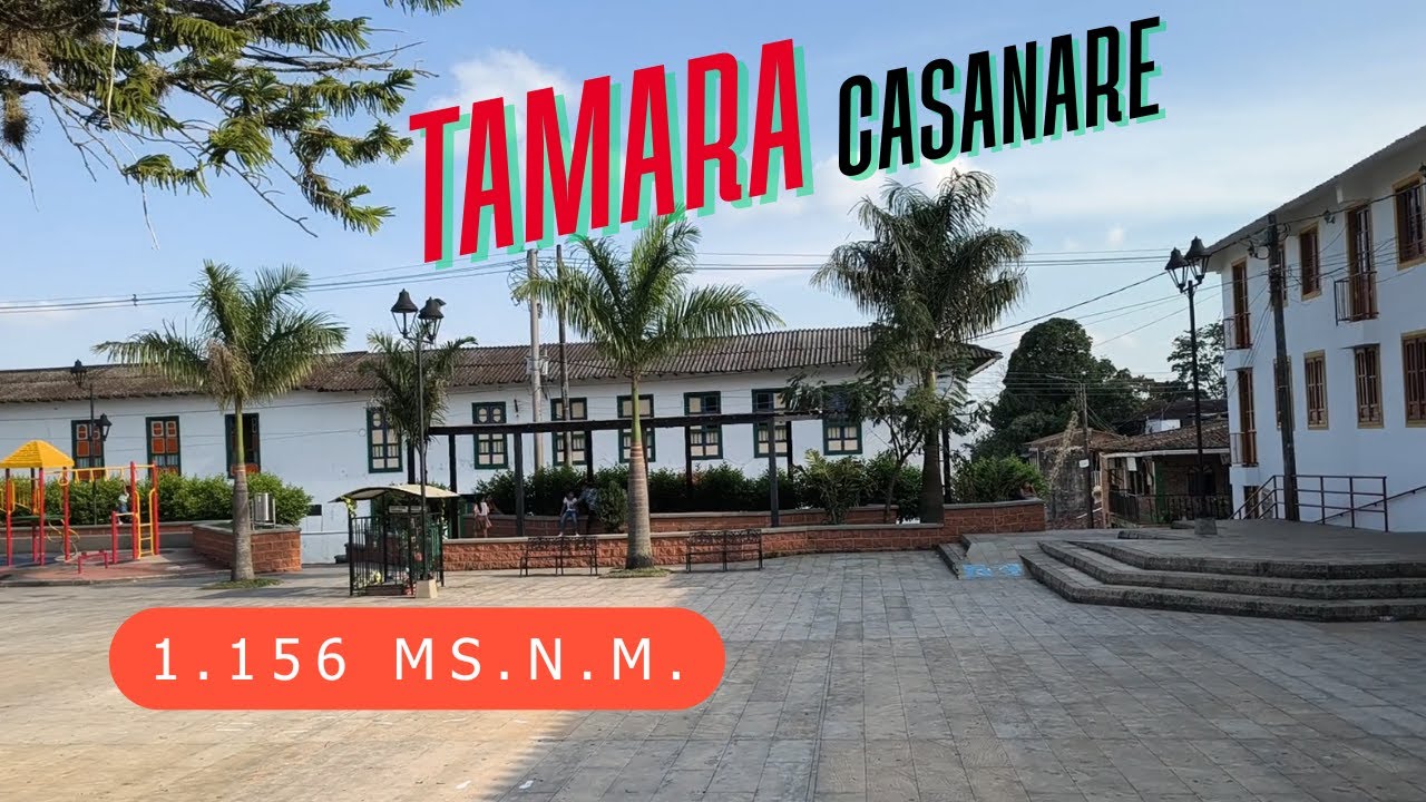 TAMARA CASANARE