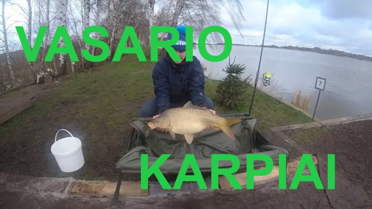 Karpiu zukle ziema Lietuvoj.Carp Lake Kintai.2020.02.02-03d.