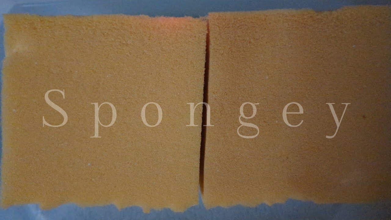 ASMR Sponge 🧽 Wet Squeezing, Scratching, Ripping Bleached and Non Bleached Foam 🧽 Bleach Week '24