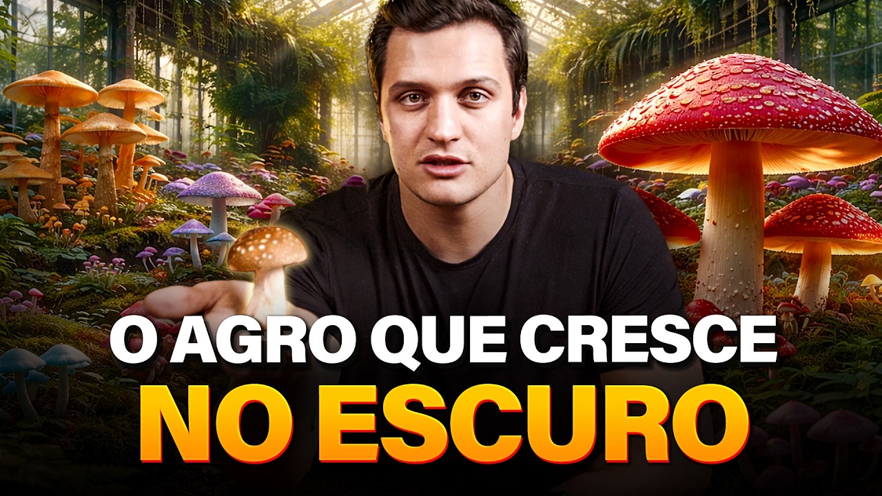 Cogumelos: o cultivo de alto valor que está crescendo no Brasil