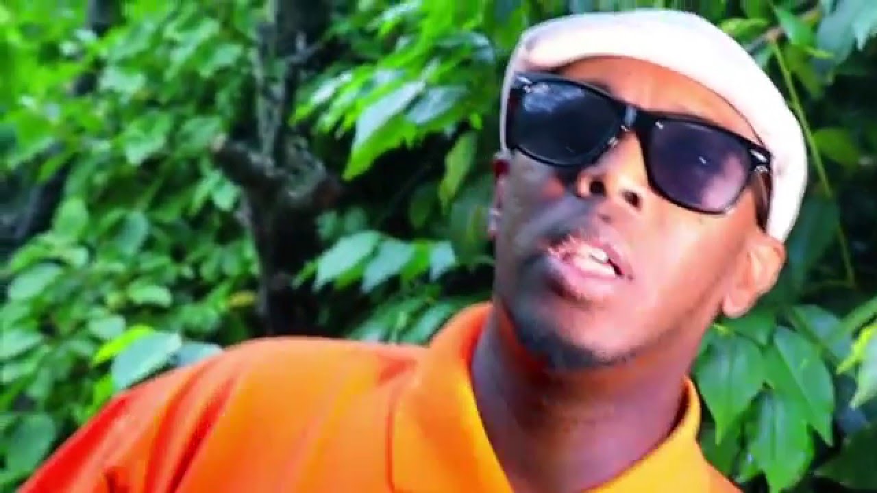 Hees Cusub - Abdisalaan Wajaale Official Music Vid