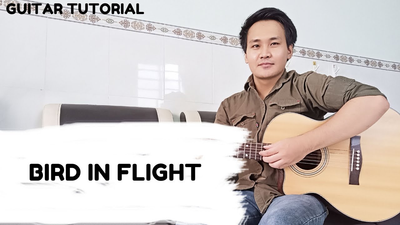 Passenger - Bird In Flight | Guitar Tutorial