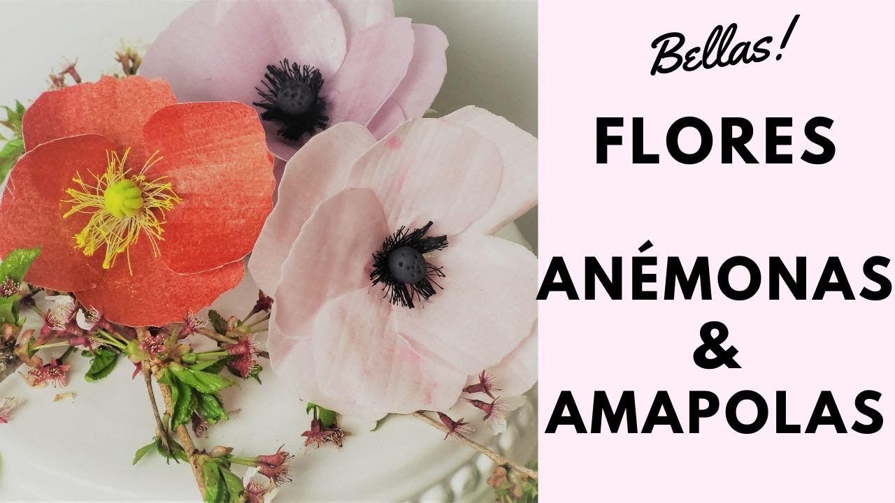 Flores Anémonas y Amapolas