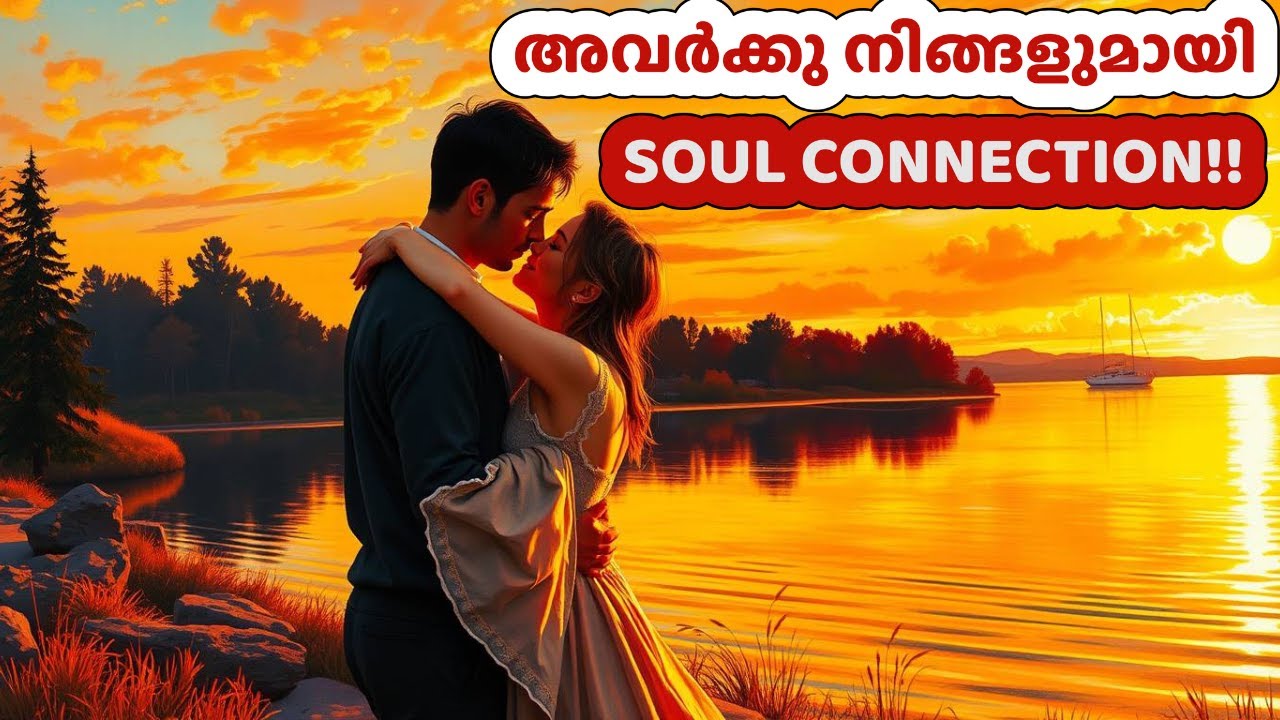 അവർക്കു നിങ്ങളുമായി SOUL CONNECTION!!! #111 #tarot