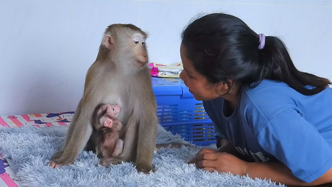 Mommy Luna Looks At Grandma Talking To Baby Luka While He Takes Milk