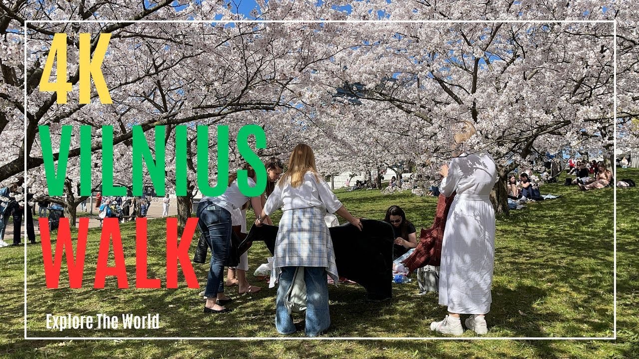【4K】 Lithuania Vilnius Walk - Chiune Sugihara Sakura Park with Cherry Blossoms in 2025