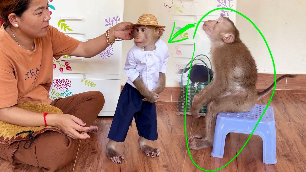 Our Role Model Judee Amusingly Ask Mom To Wear Her A Farmer Suit