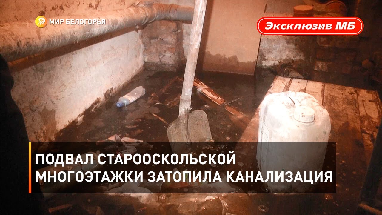 Подвал старооскольской многоэтажки затопила канализация