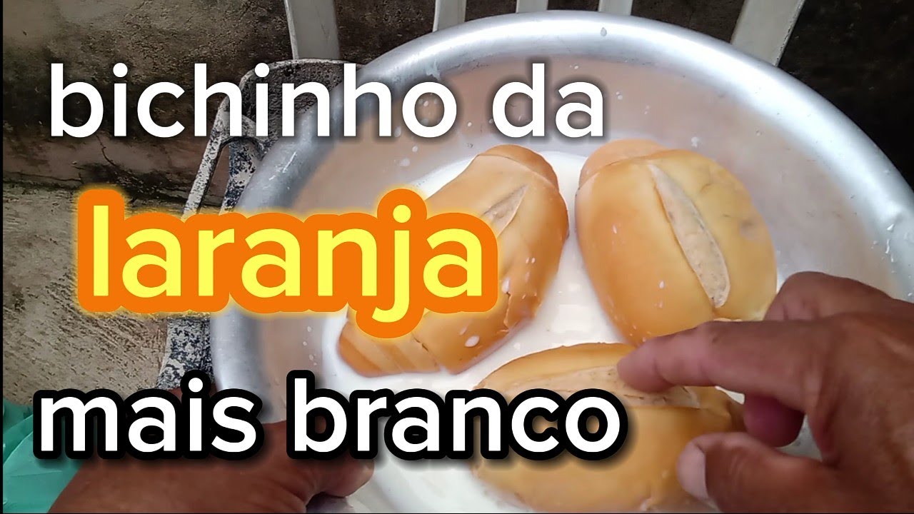 ✅ Como deixar bichinho da laranja mais  branco para pescar . #isca #peixe #pescar