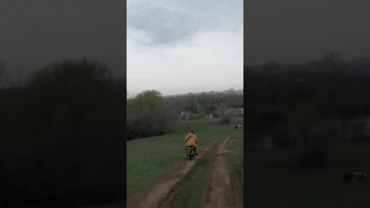 заливы