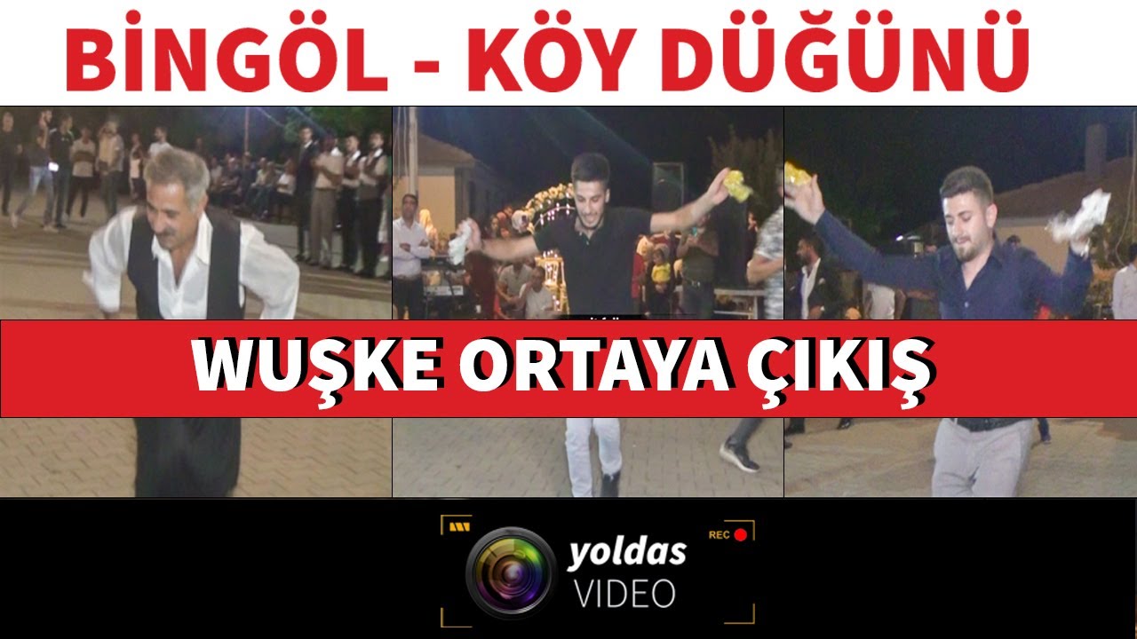 BİNGÖL HALAYI | Wuşke Cida Full Ortaya Çıkma
