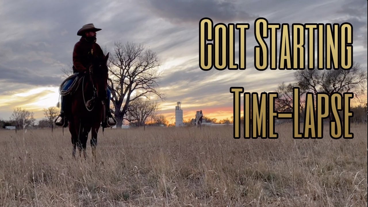 30-Day Colt Starting Time-Lapse