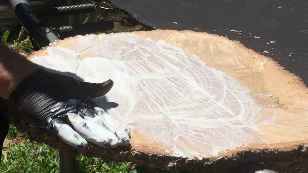 Slowing the drying process on tree slices to prevent cracking with Anchorseal 2