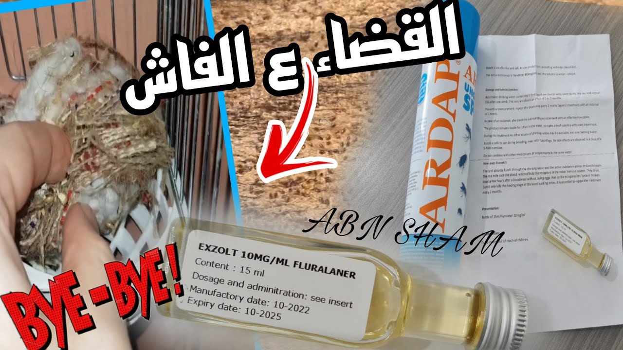 كيف اتخلص من الفاش🌹داخل القفص 🌹في العش🌹بجسم الطير ع 🌹طريقة الأوربية🌹 ب{{ERDAP&EXZOLT}} وبطرق طبيعية