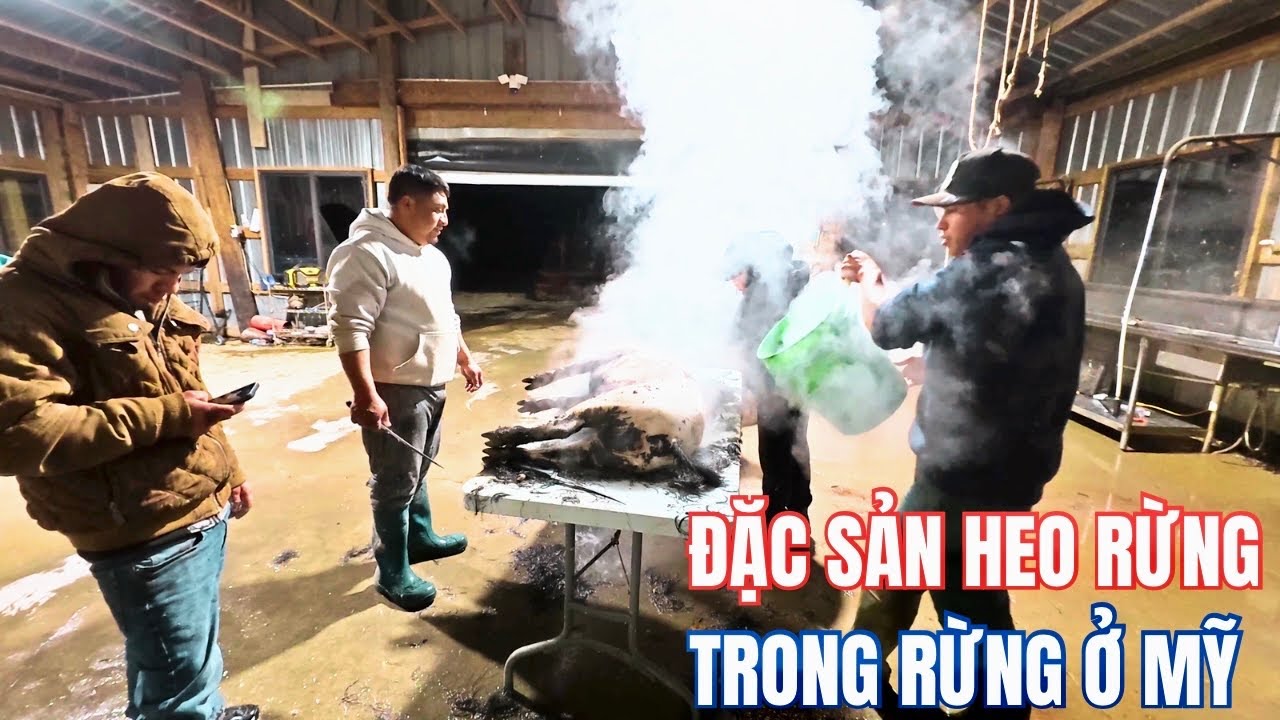 Lần Đầu Ăn Đặc Sản Heo Rừng Ở Trại Gà Đi Bộ Trong Rừng Ở Mỹ 