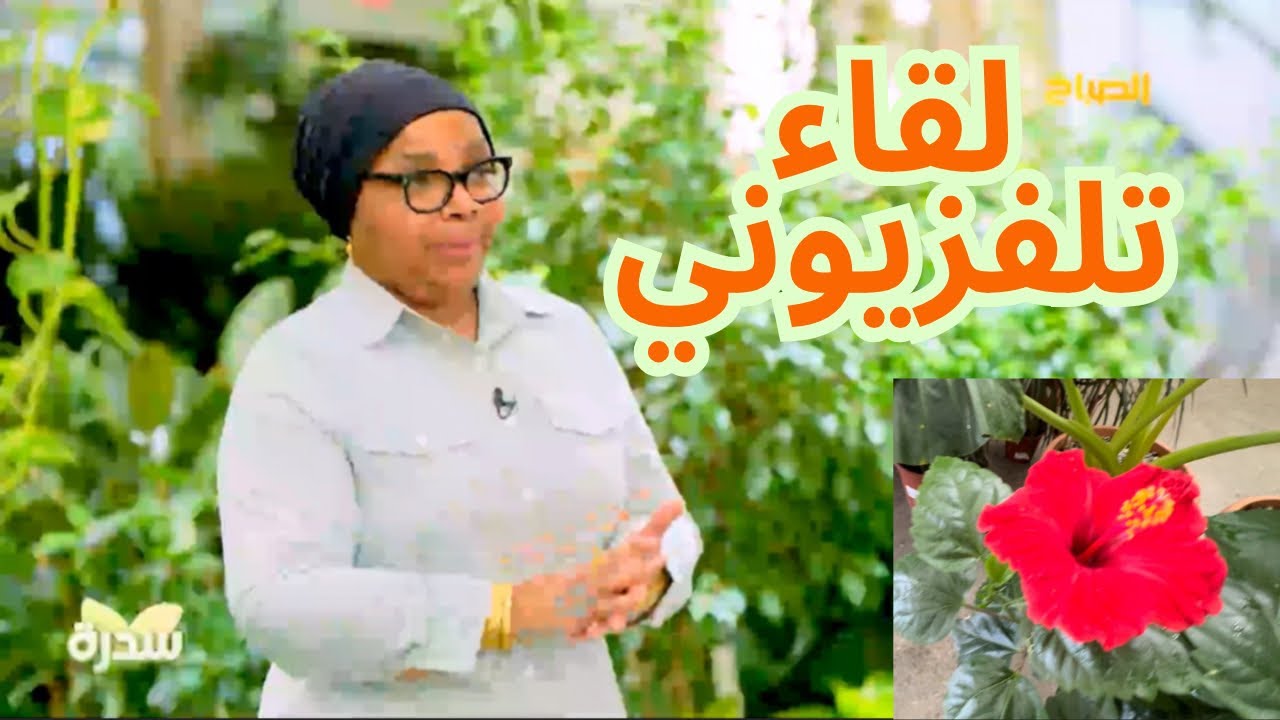 طلعت بالتلفزيون وتكلمت عن خبرتي 🎥📸☘️