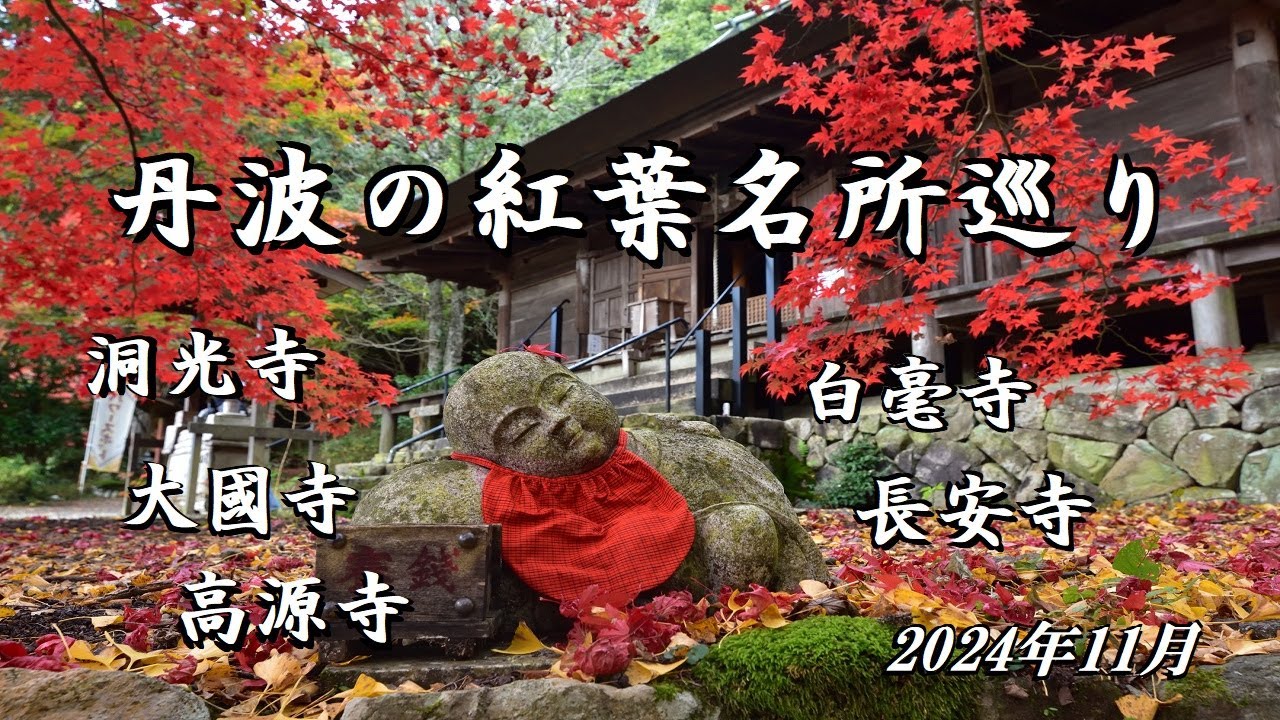 丹波の紅葉名所巡り 2024年11月