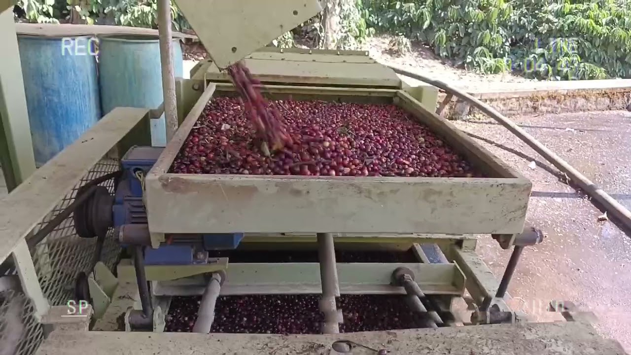 coffee pulping machine