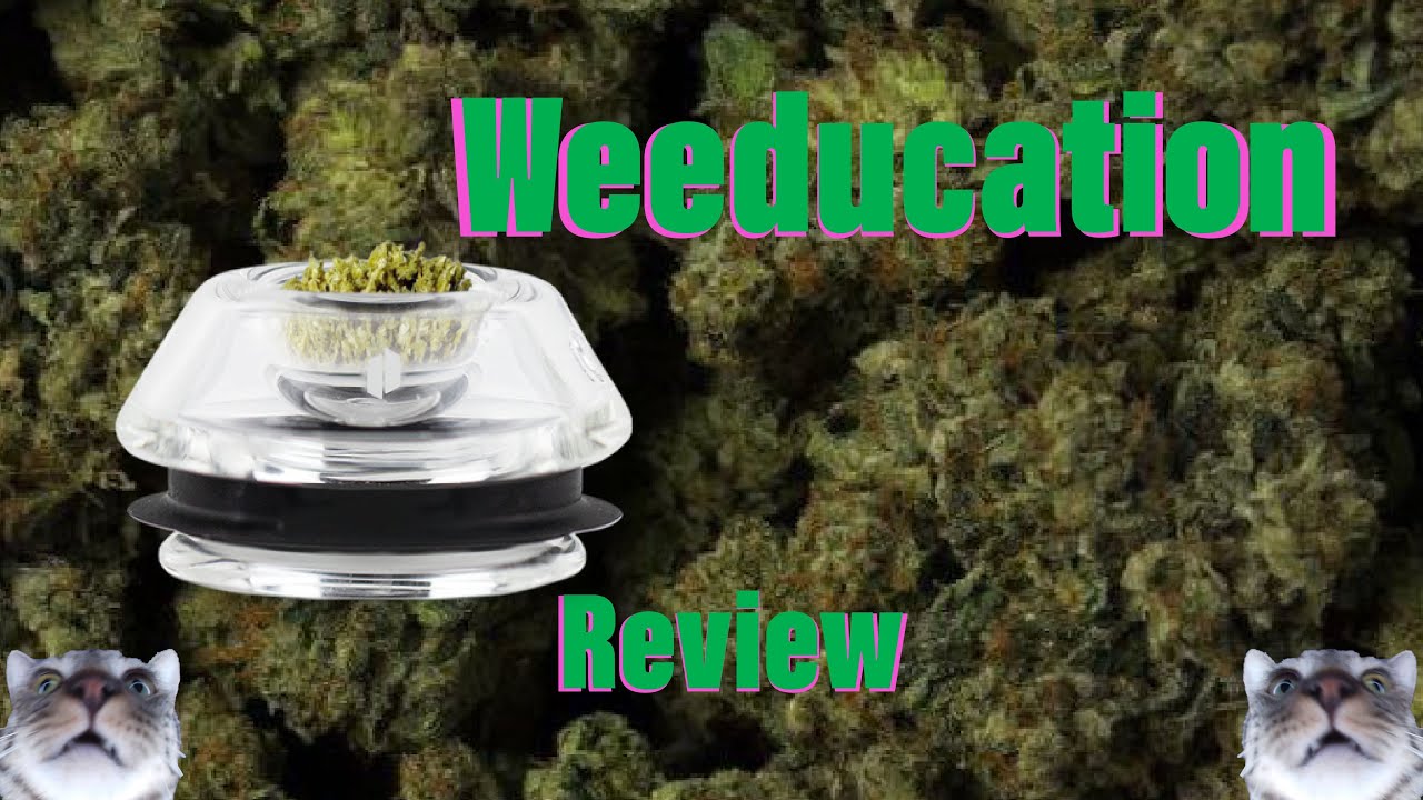 PuffCo Proxy Flower Bowl Attachment Review