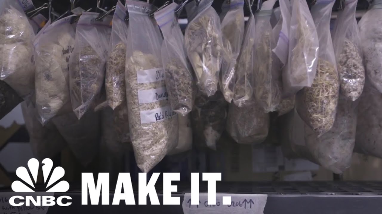 Turning Farm Waste Into Eco-Friendly, Safe Products | How I Made It | CNBC Make It.
