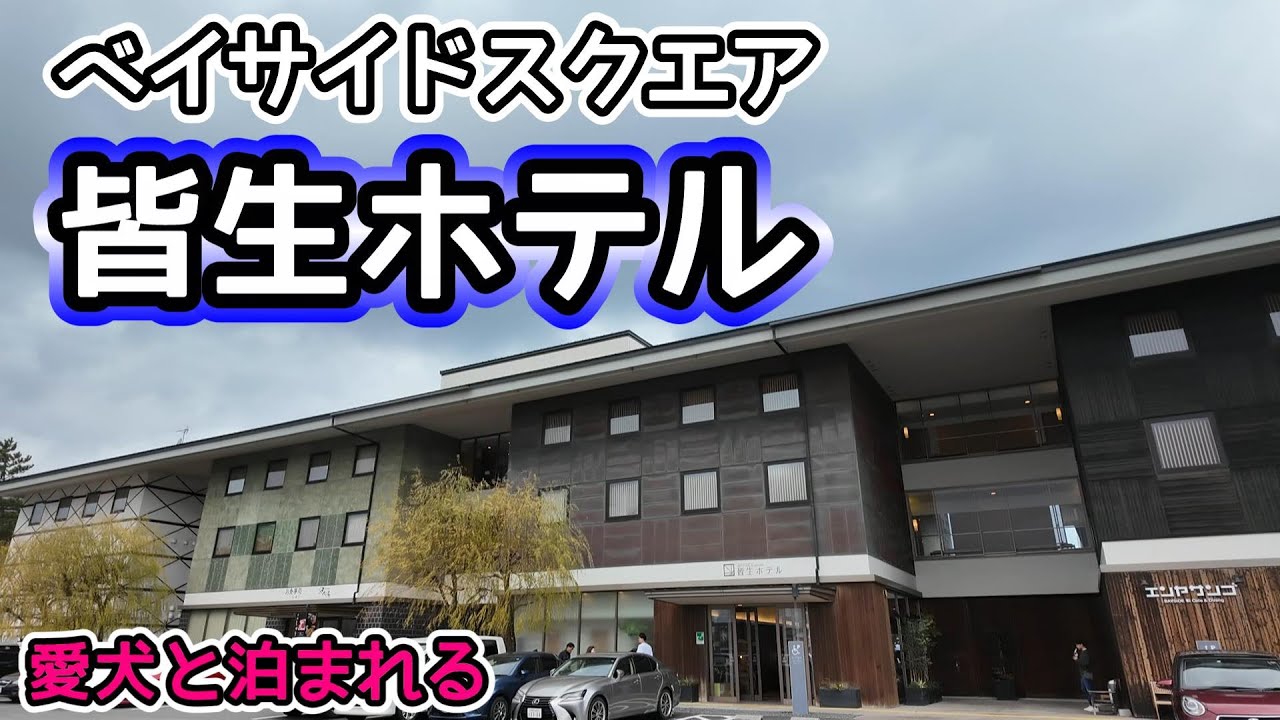 ベイサイドスクエア「皆生ホテル」でお姉ちゃんのマネをする【ミニチュアダックスフンド】ペット連れ専用エレベーターあり