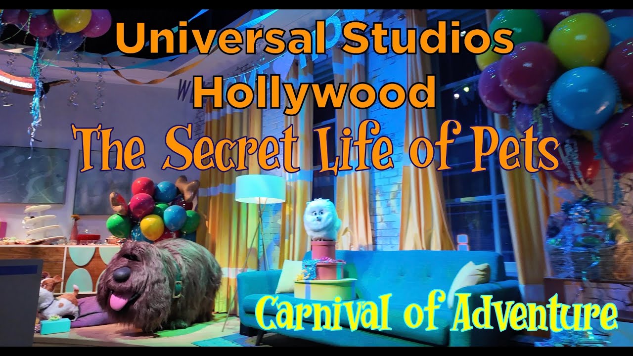 The Secret Life of Pets: Full Ride POV