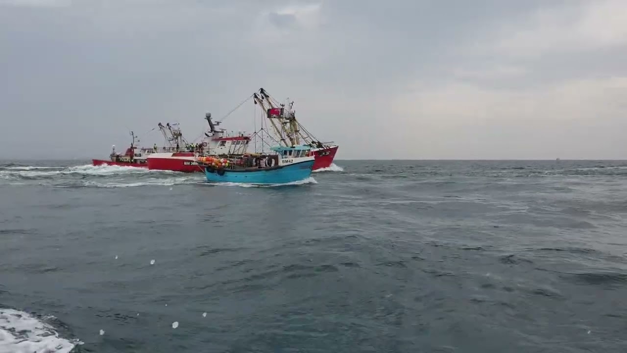 Jazzy B (BM42) takes one the big boys Van Dijck (BM362) and Mercurius (M277)