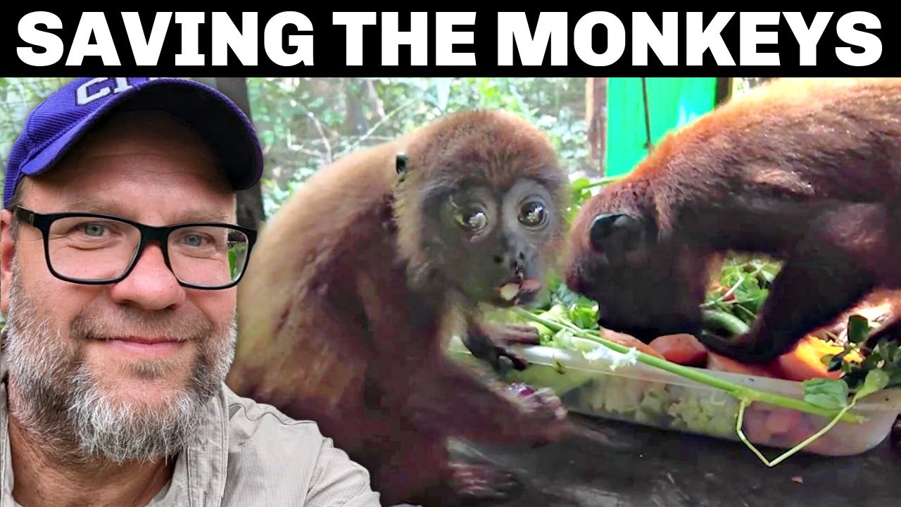 AMAZON JUNGLE SHELTER [Saving The Animals] S6E19