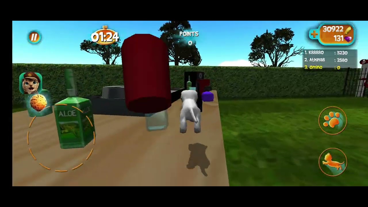 Cat sim multiplayer chaos
