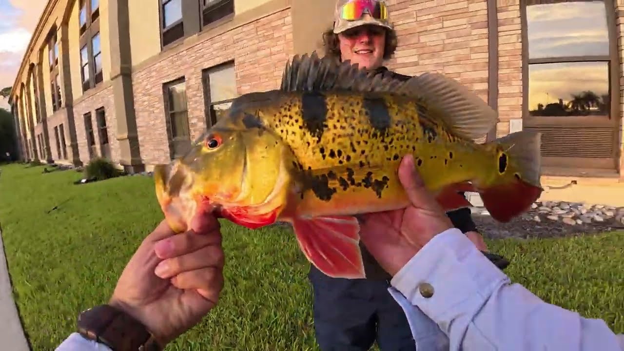 UltraLight Fishing! New PBs broken!
