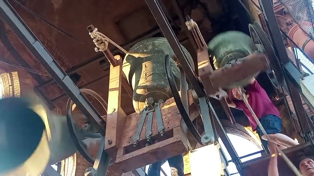 Le Campane di Bologna - Basilica di S.Antonio di Padova (Antoniano) - 1