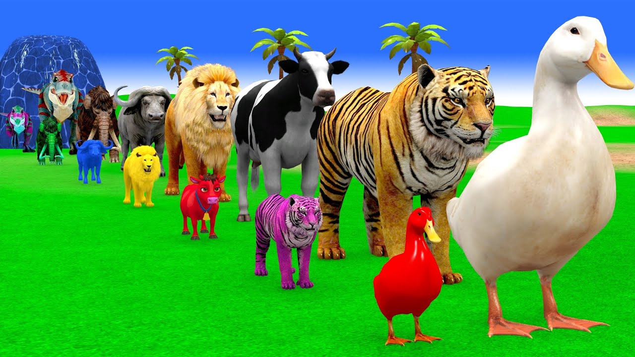 Long Slide Game With Cow Elephant Gorilla Hippopotamus Tiger 3d Animal Game Funny 3d Animals