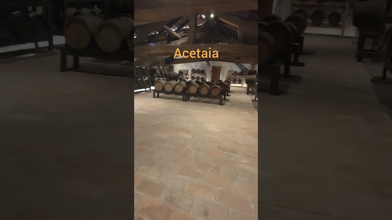 Roccabianca: castello a 360 gradi #viaggiare #viaggio #castello #viaggi