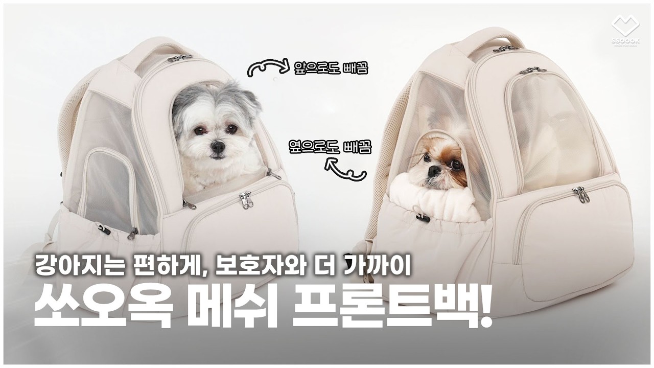 강아지는 편안하게 쉬면서, 보호자와는 더 교감이 가능한 가방! 쏘오옥 메쉬 프론트백 출시 🎒✨｜KR EN