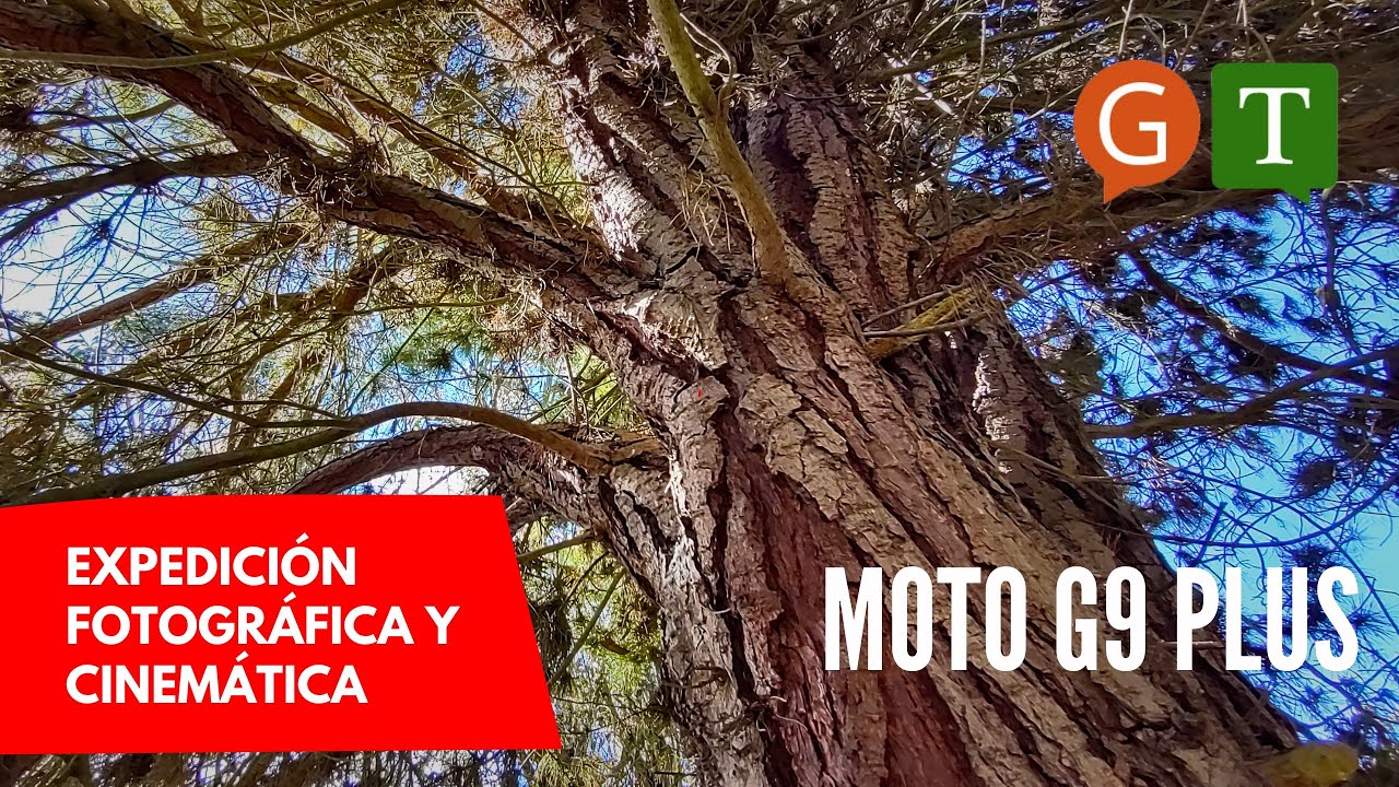 Expedición fotográfica con moto g9 Plus