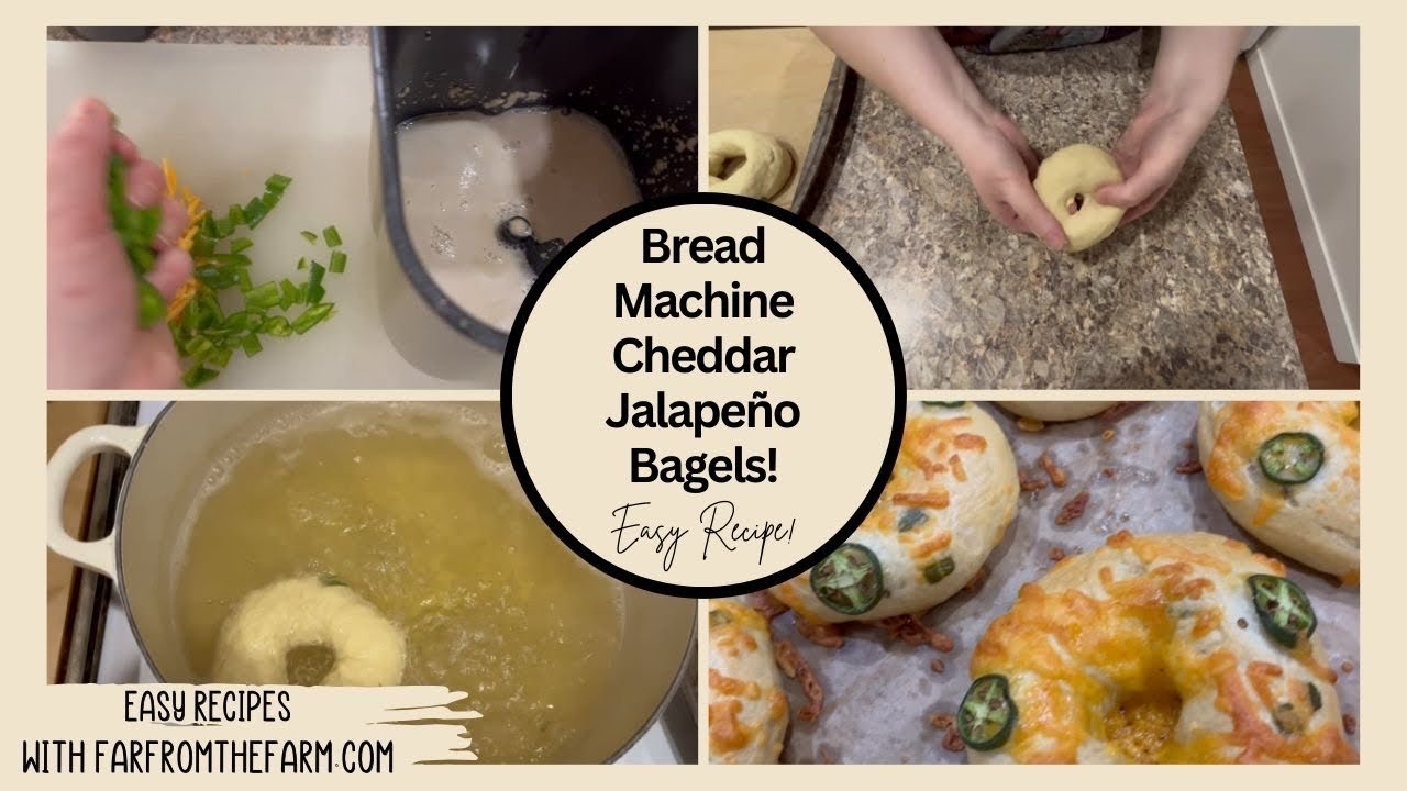 Easy Cheddar Jalapeño Bread Machine Bagels Recipe!