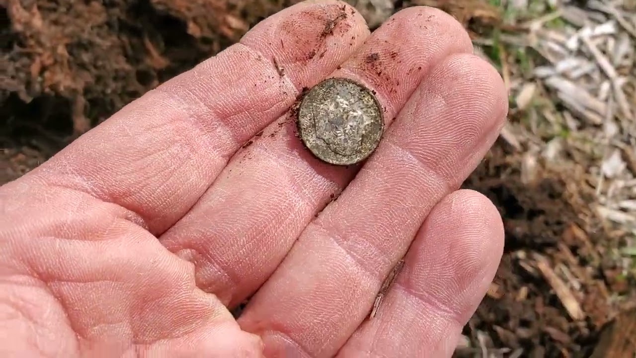 Nokta Simplex Lite! Excellent metal detector finds coins great vdi easy to use good finds