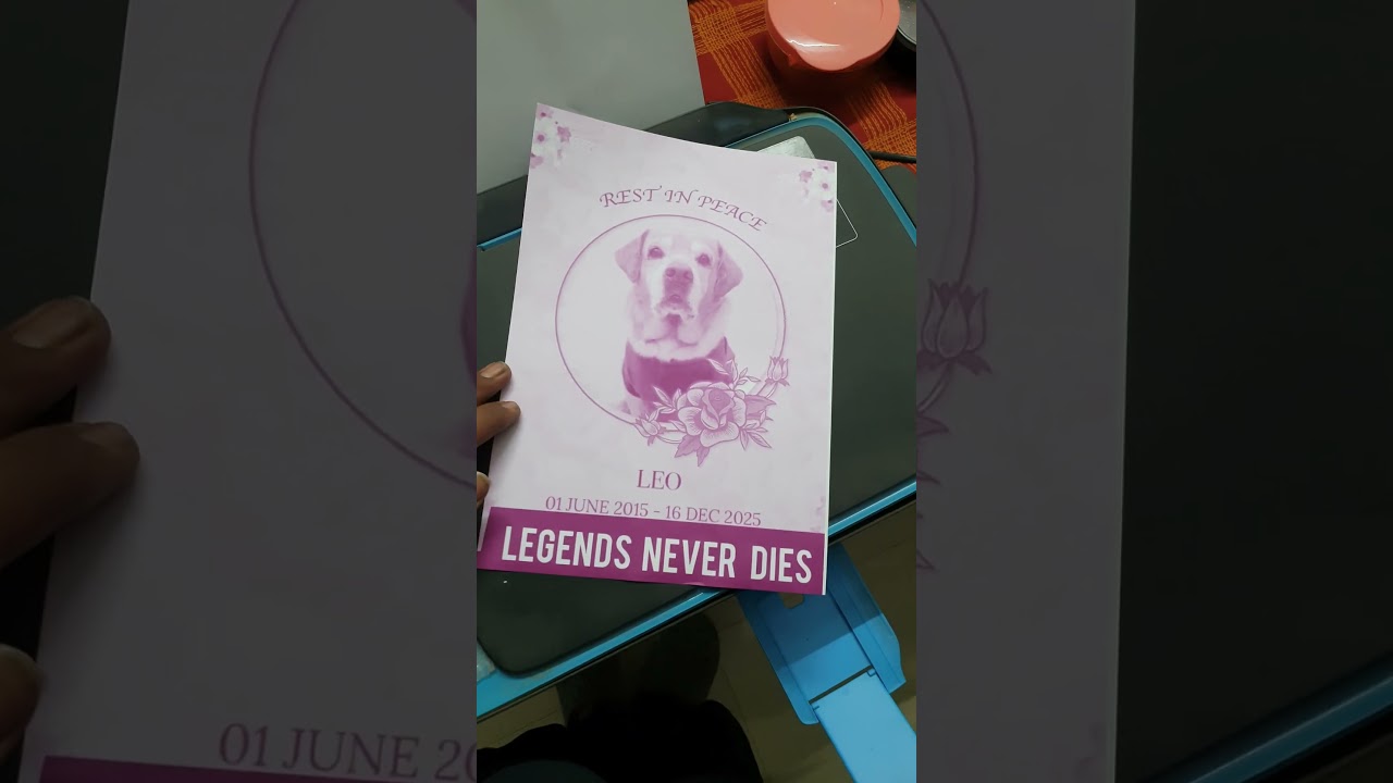 leo the legend and legends never die... 😪😭 | anant rastogi | | bella sanyam | 