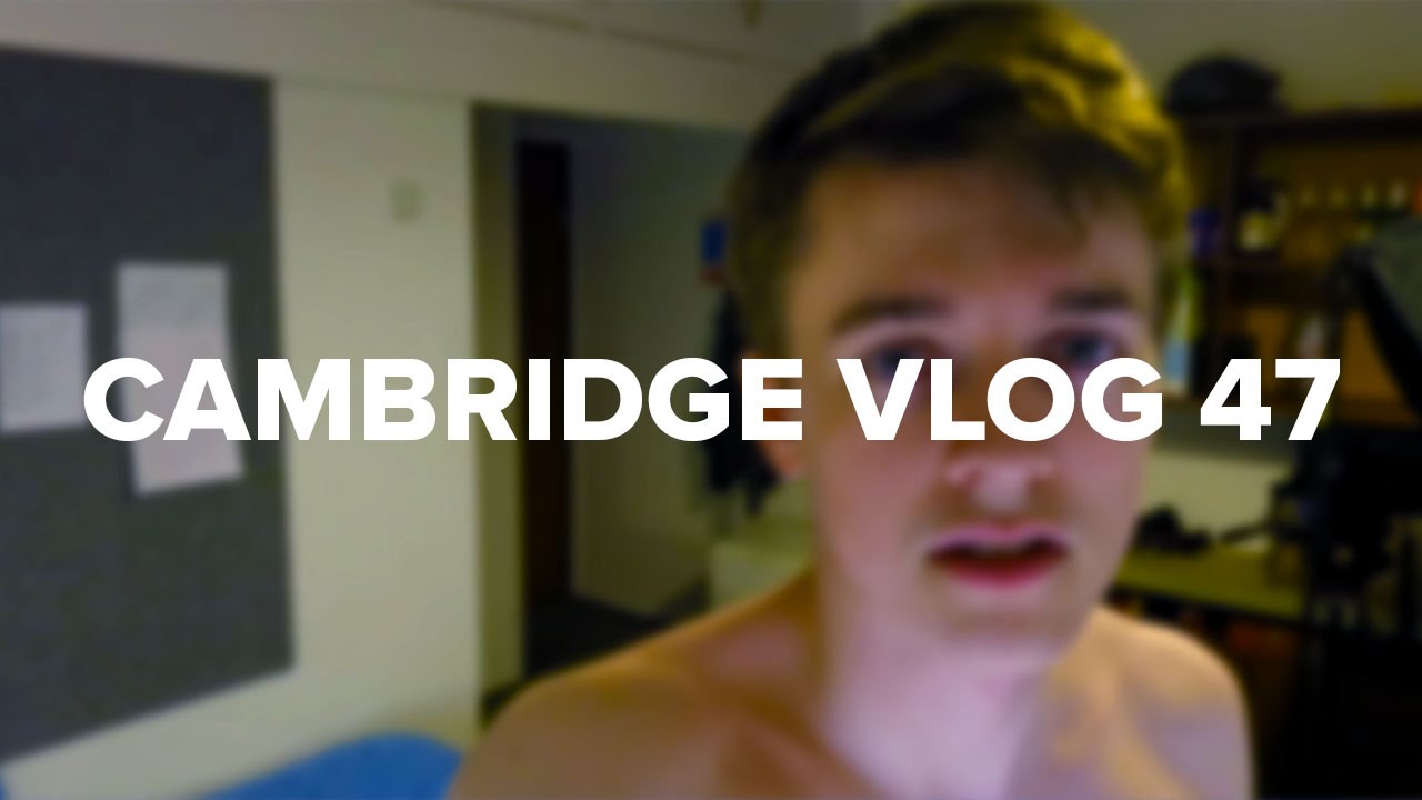 Cambridge Vlog 47 | Ladybird Infestation