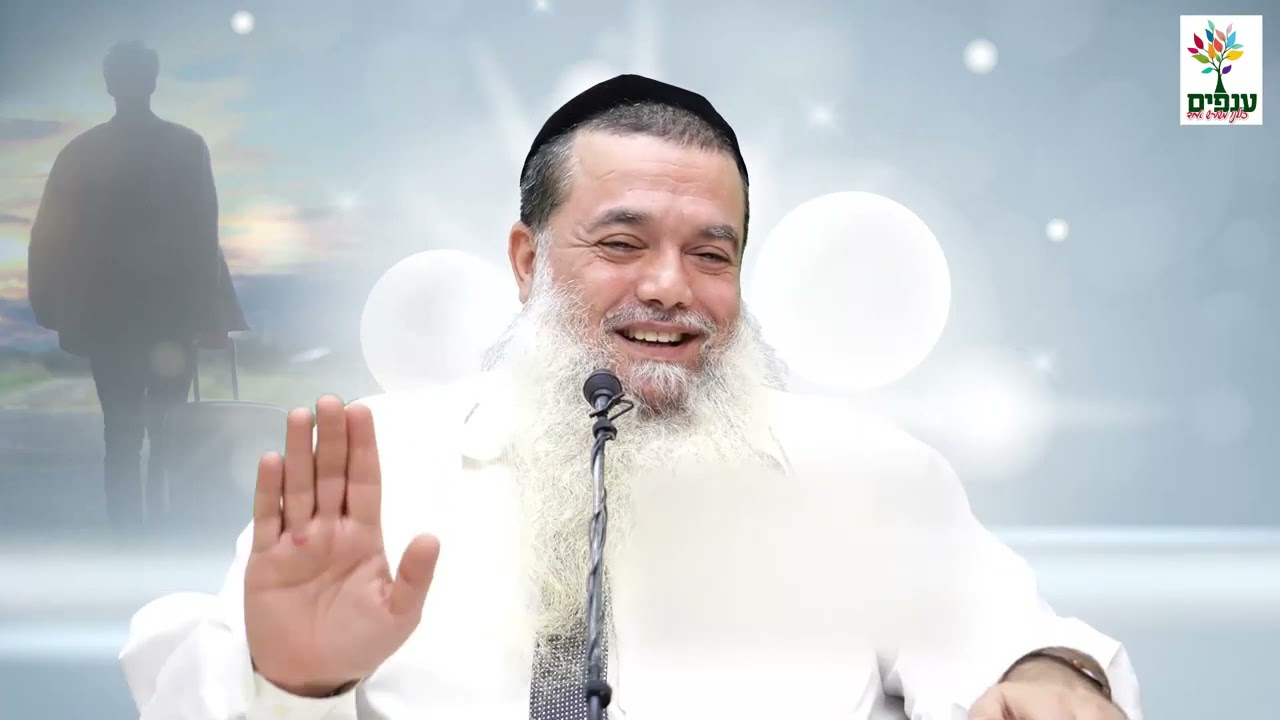הרב יגאל כהן | פרשת לך לך - לקראת שבת!