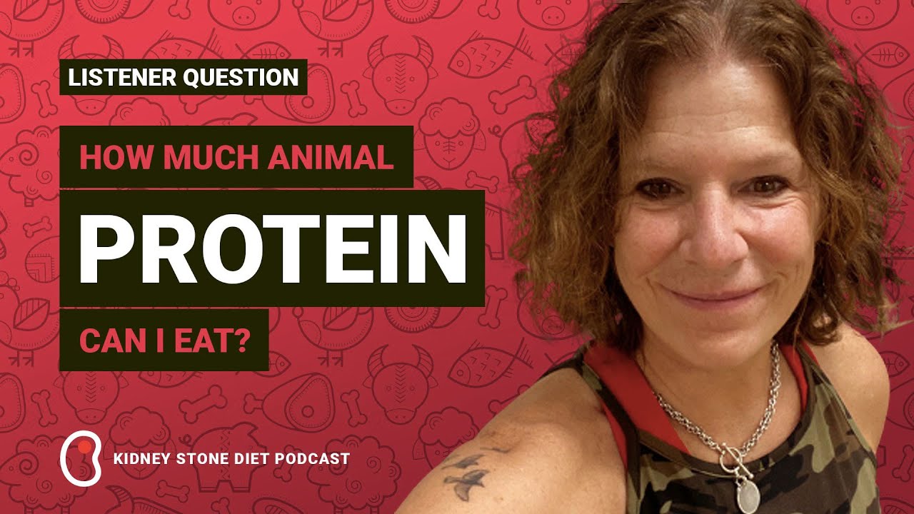 How much animal protein should I eat? / Kidney Stone Diet with Jill Harris