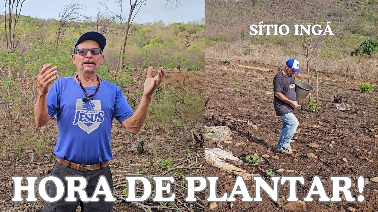 CHUVA NO CEARÁ: HORA DE PLANTAR ESPERANÇA - SÍTIO INGÁ, MONSENHOR TABOSA