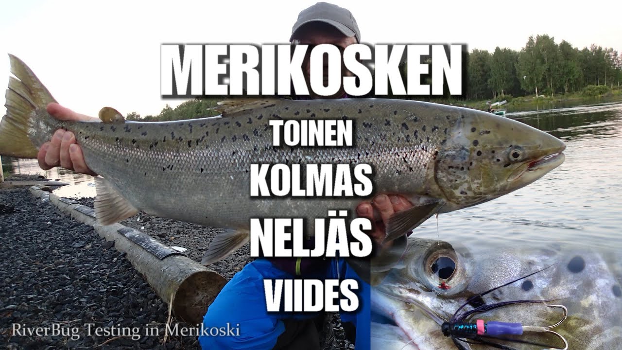 MERIKOSKI Punttikalastus - Oulujoen Toinen, Kolmas, Nelj&auml;s ja Viides Kirka (Oulujoki Lohenkalastus)