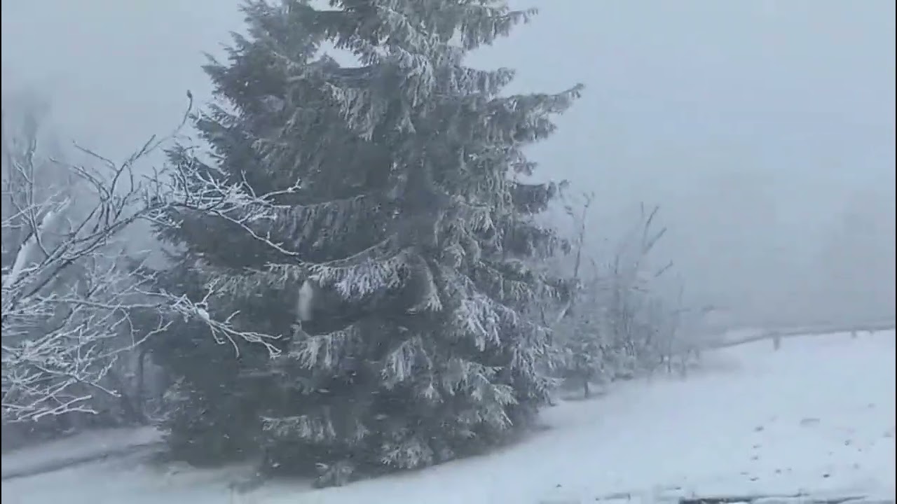 Averse de ninsoare viscolite în Muntii Taunus în dimineața zilei de 24 martie 2024