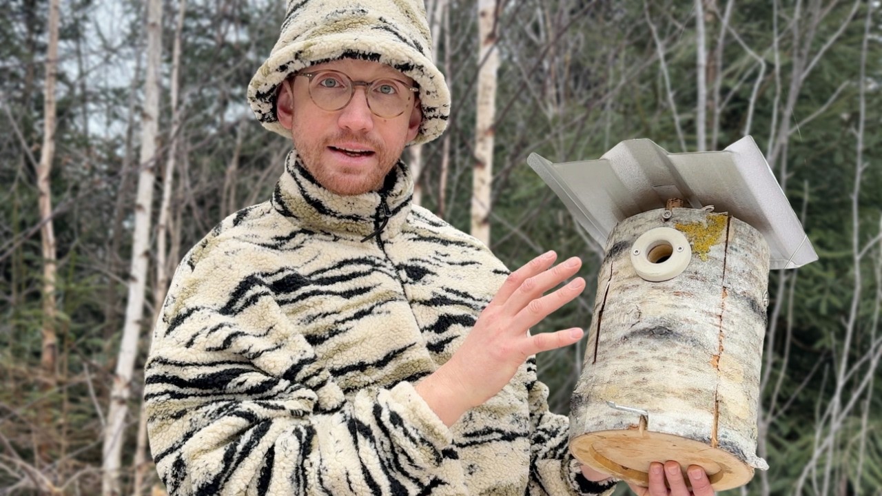 This Is My Favourite Birdhouse Design – Here’s Why