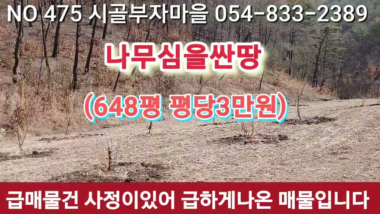 #의성군 나무심을싼땅 648평평당3만원에가져가세요 #의성싼땅 #경북싼땅 #안동싼땅 #의성토지 #구미싼땅 #경산싼땅 # 칠곡싼땅 #안동싼임야 #의성임야 