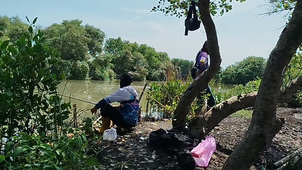 The river has lots of fish, 